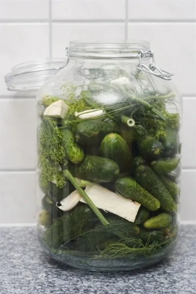 Малосольные огурцы с укропом