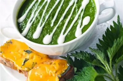 Зеленый суп