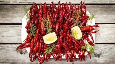 Шведские летние раки