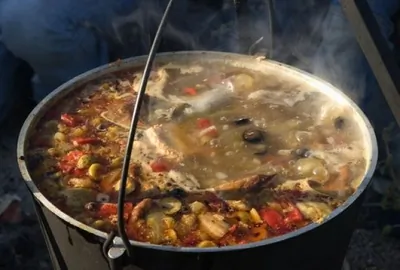 Солянка донская