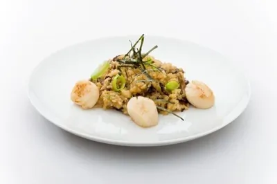 Гребешки в сливочном соусе с грибами и рисом