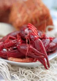 Раки, сваренные в вине