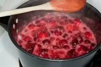 Клюквенный соус с белым луком и светлым изюмом