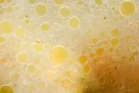 Мясной бульон с овощами