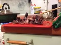 Вот что получилось из нашего рецепта - фото 4