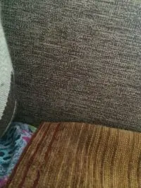 Вот что получилось из нашего рецепта - фото 1