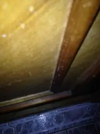 Вот что получилось из нашего рецепта - фото 1