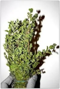 Вот что получилось из нашего рецепта - фото 4