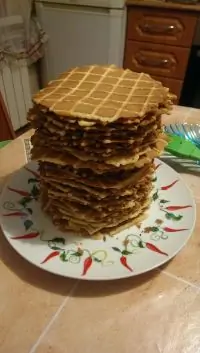 Вот что получилось из нашего рецепта - фото 1