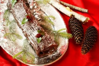 Шоколадное полено с кремом из каштанов и ягодами