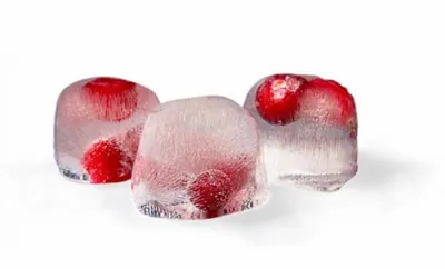 Клюквенный лед с черникой