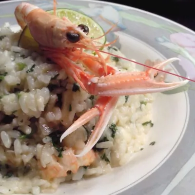 Ризотто с морскими гадами