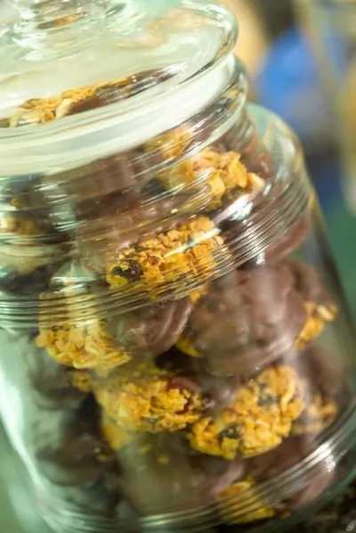 Печенье с вишней и имбирем в шоколаде (Florentines)