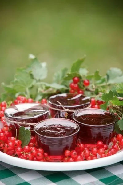 Желе из красной смородины