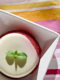 Молочный пудинг с лимоном и мятой и под малиновым соусом