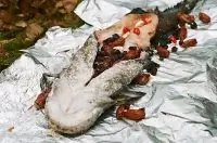 Сом с финиками и изюмом на углях