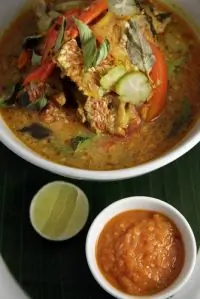 Уха из морского ангела