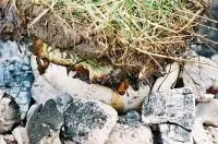 Вот что получилось из нашего рецепта - фото 2