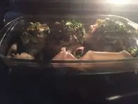 Вот что получилось из нашего рецепта - фото 1