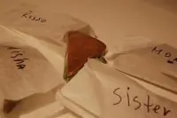 Вот что получилось из нашего рецепта - фото 1