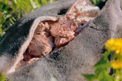 Кюр (запеченный в земле барашек)