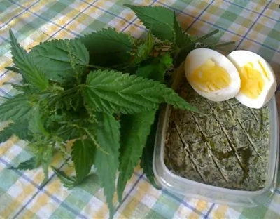 Масло крапивное