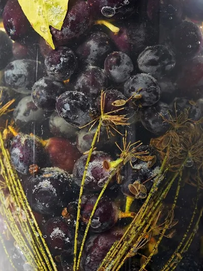 Маринованный виноград