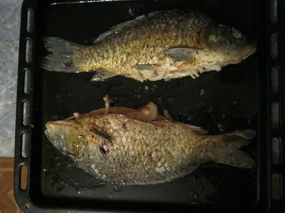 Карп в духовке