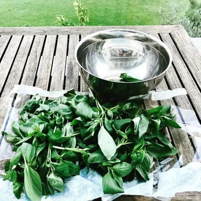 Классический соус песто