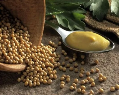 Дижонская горчица