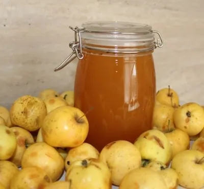 Яблочный мед