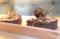 Брауни с кусочками шоколада и миндалем