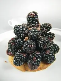 Шоколадно-ежевичная пирамида