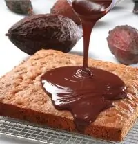 Ореховый торт с шоколадом и оливковым маслом