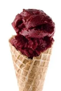 Быстрый черничный шербет