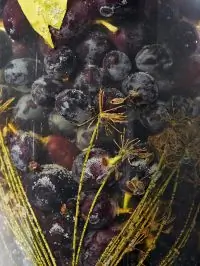 Маринованный виноград