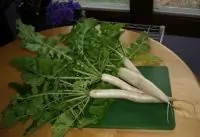 Салат из дайкона с кунжутными семечками