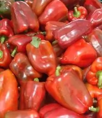 Гаспачо по питерски