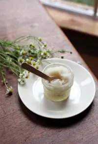 Душистый сорбет с ромашкой и медом