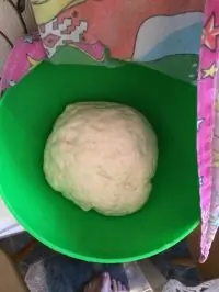 Тесто для пиццы на сухих дрожжах