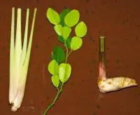 Пряный лимонад