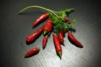 Соус табаско