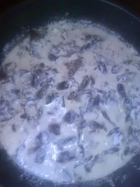 Грибы в сливочном соусе