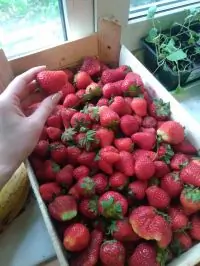 Вот что получилось из нашего рецепта - фото 2