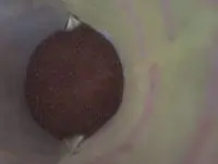 Вот что получилось из нашего рецепта - фото 3