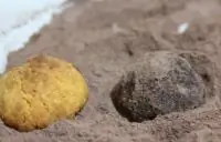 Вот что получилось из нашего рецепта - фото 1