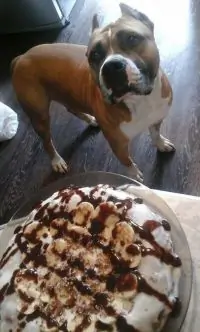 Вот что получилось из нашего рецепта - фото 2