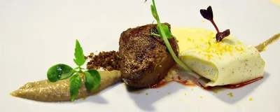 Грудка горного мясного голубя с пюре из белой моркови и куриной печени с соусом