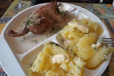 Вальдшнеп весенний