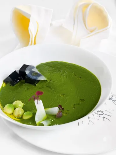 Суп из щавеля с желе из краснокочанной капусты